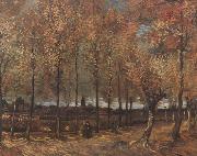 Vincent Van Gogh Lane with Poplars (nn04) oil